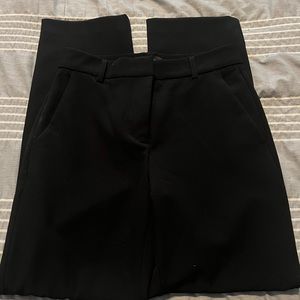 Express Dress pant